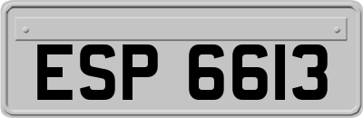 ESP6613