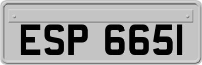 ESP6651