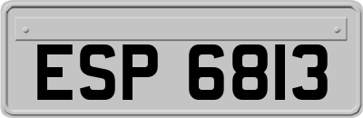 ESP6813