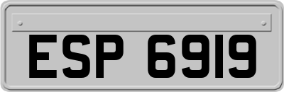 ESP6919