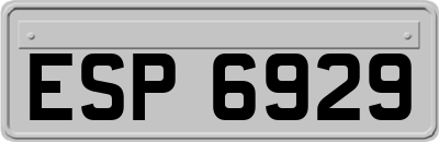 ESP6929