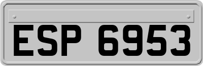 ESP6953
