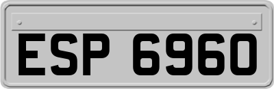 ESP6960