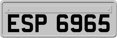 ESP6965