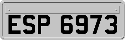 ESP6973