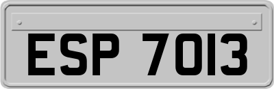 ESP7013