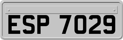 ESP7029