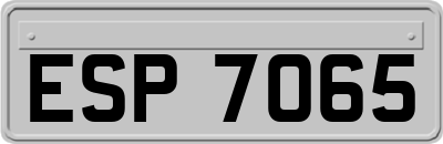 ESP7065