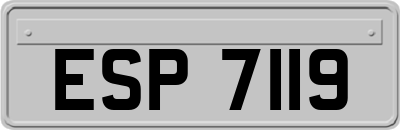 ESP7119