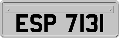 ESP7131