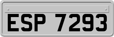 ESP7293