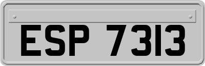 ESP7313