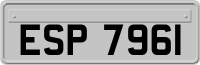 ESP7961
