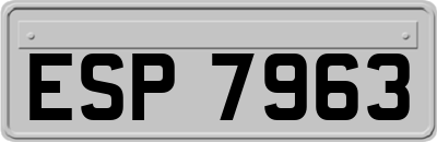 ESP7963