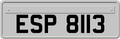 ESP8113
