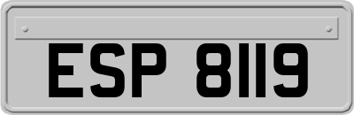 ESP8119
