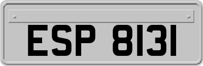 ESP8131