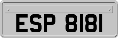 ESP8181