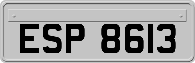 ESP8613