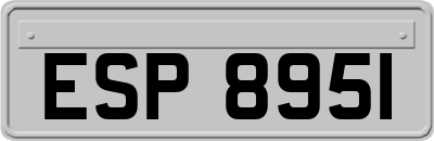 ESP8951