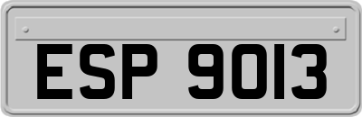 ESP9013