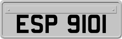 ESP9101