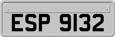 ESP9132