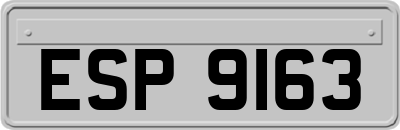 ESP9163