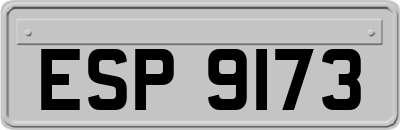 ESP9173
