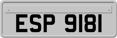 ESP9181
