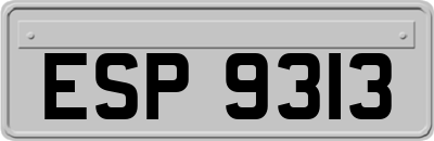 ESP9313