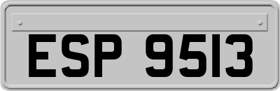 ESP9513