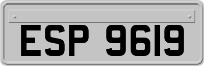 ESP9619