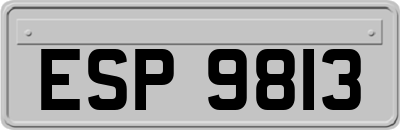 ESP9813