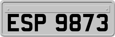 ESP9873