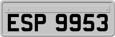 ESP9953