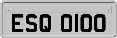 ESQ0100