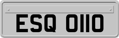 ESQ0110