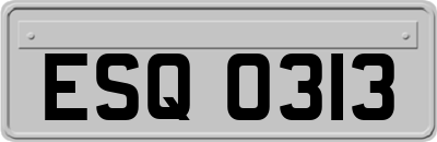 ESQ0313