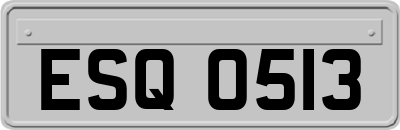 ESQ0513