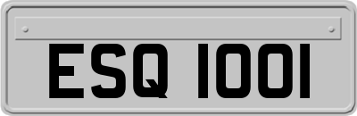 ESQ1001