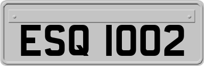 ESQ1002