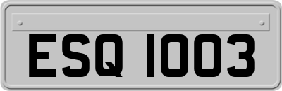 ESQ1003