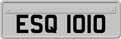 ESQ1010