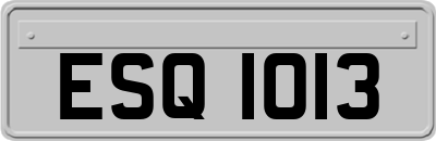 ESQ1013