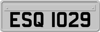ESQ1029