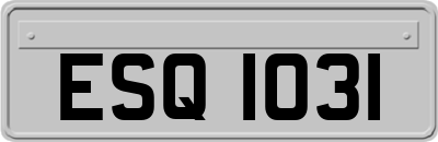 ESQ1031