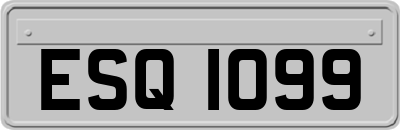 ESQ1099