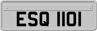 ESQ1101