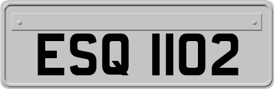 ESQ1102